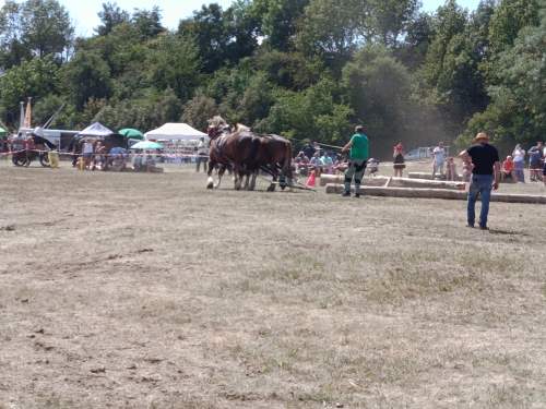 IMG_20260808_131703